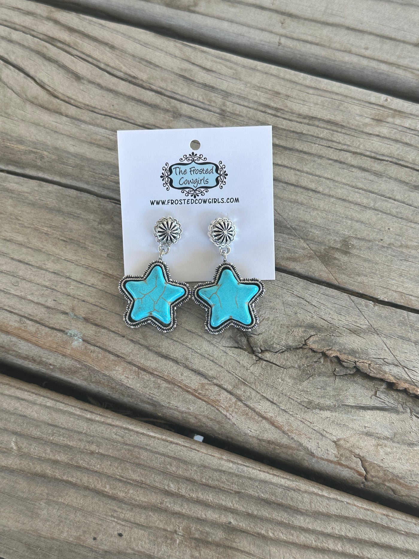 Shinning Star Earrings